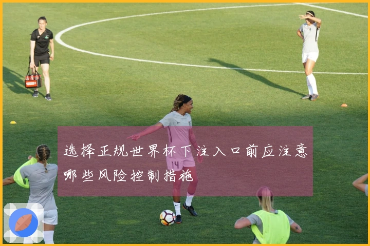 选择正规世界杯下注入口前应注意哪些风险控制措施