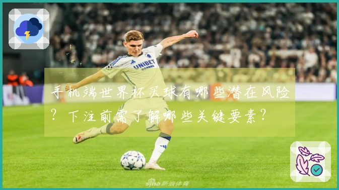 手机端世界杯买球有哪些潜在风险？下注前需了解哪些关键要素？